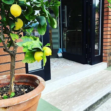 بيت ضيافة Caffe Martini